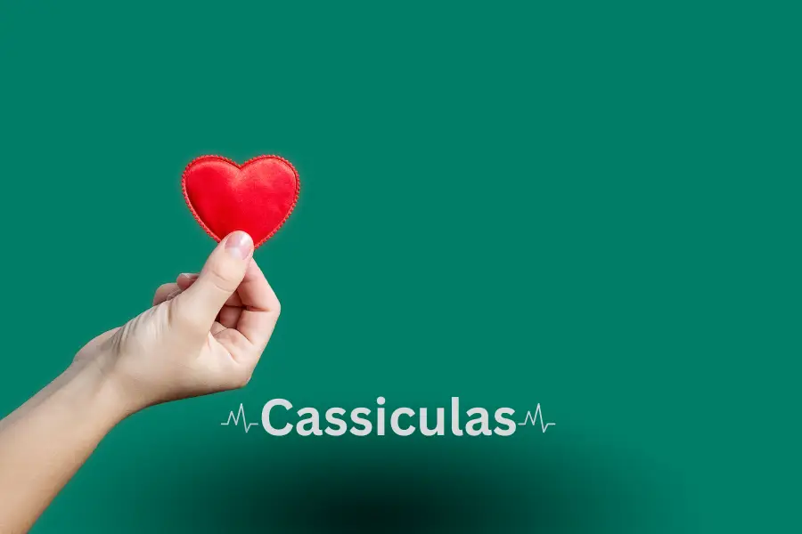 cassiculas